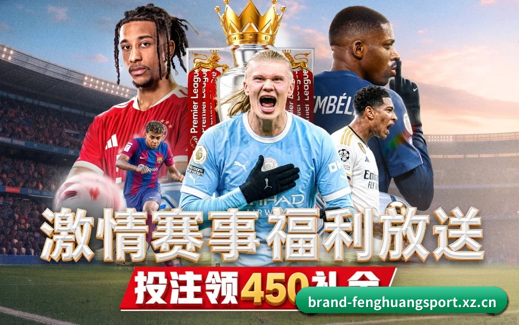 凤凰体育贴合重度球迷盯盘直觉锻造的服务生态 - 多运动项目内容板块